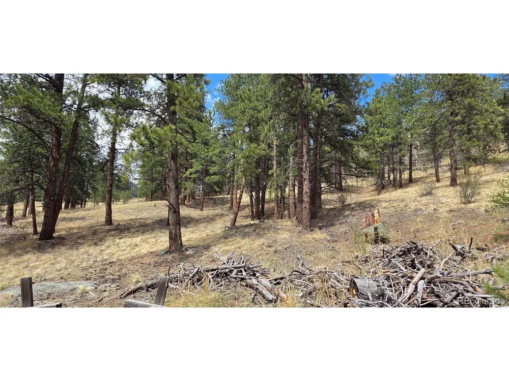 62430 US Highway 285 Bailey, CO 80421