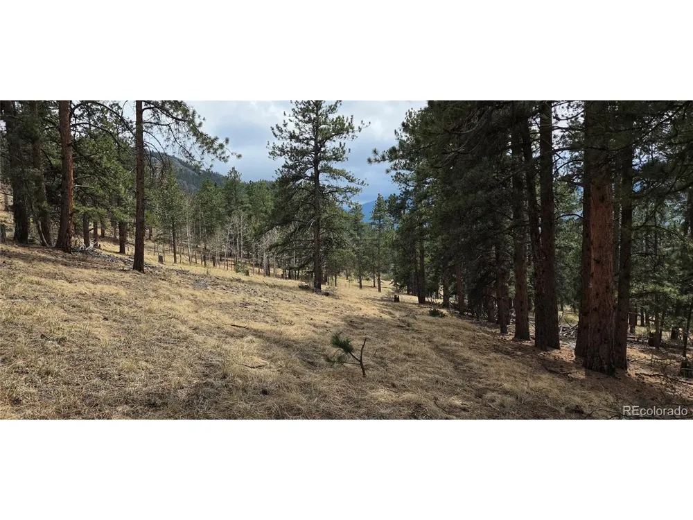 62430 US Highway 285 Bailey, CO 80421