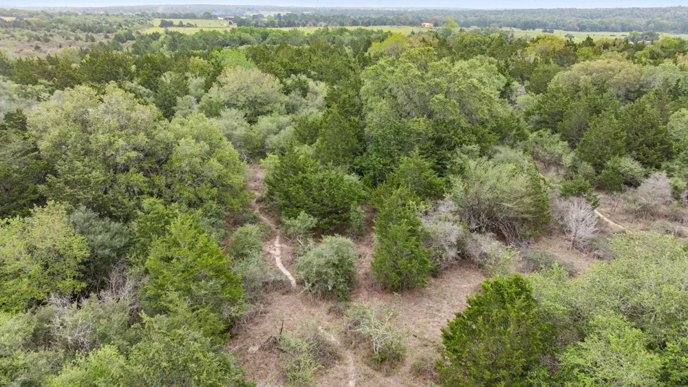 Tobias Road Columbus, TX 78934