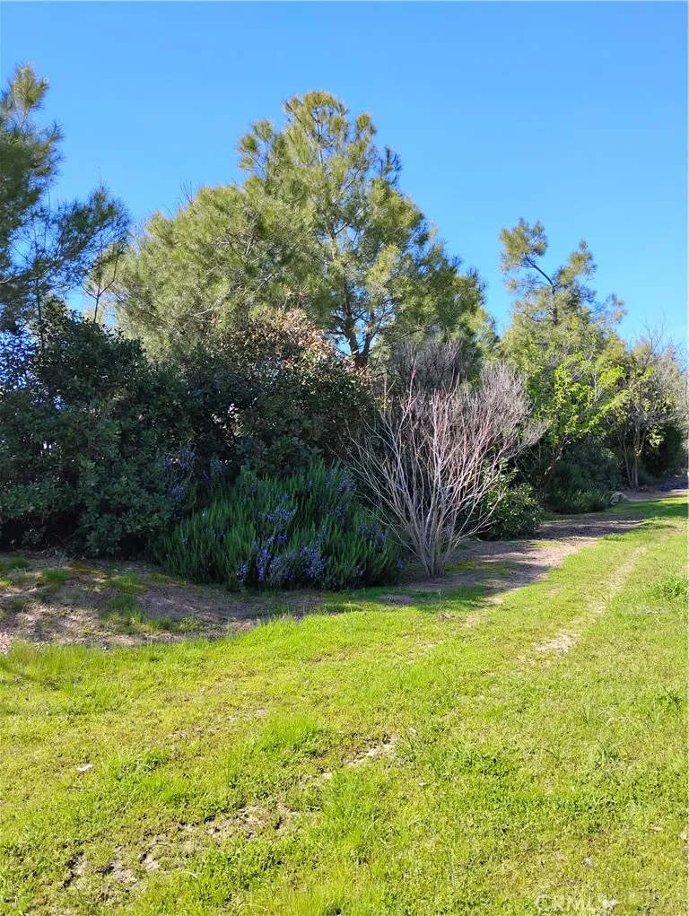 35371 Spanish Oak Auberry, CA 93602