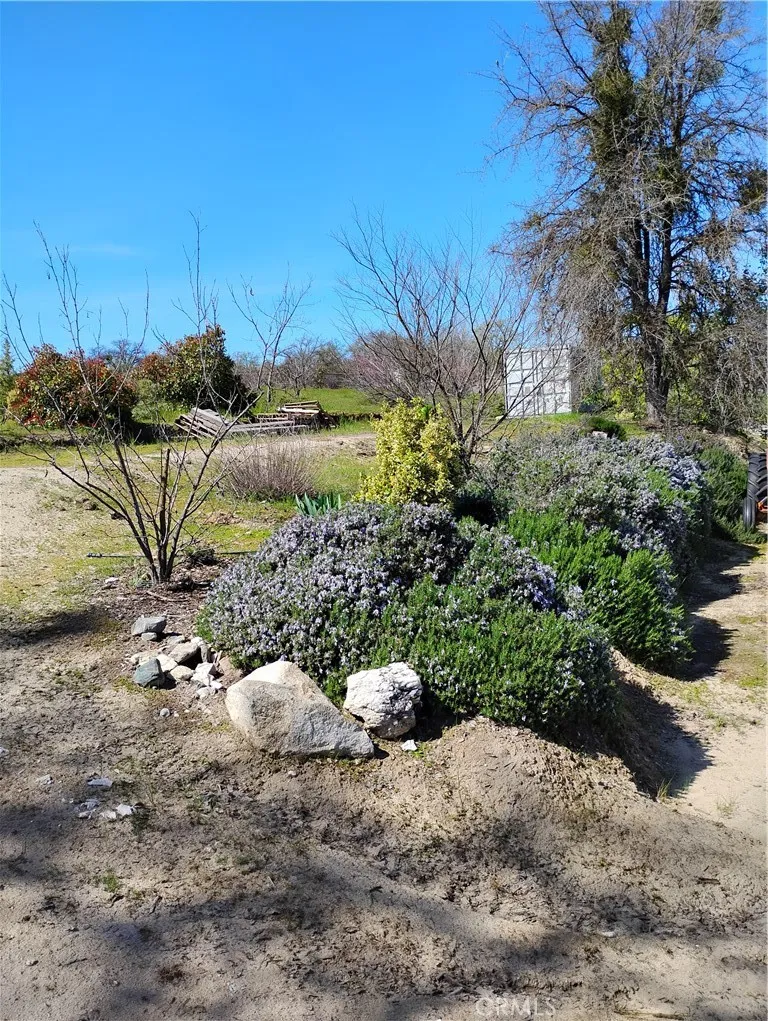 35371 Spanish Oak Auberry, CA 93602