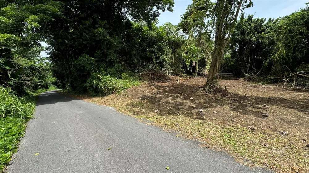 BO CIDRAL PR-111 San Sebastian, PR 00685