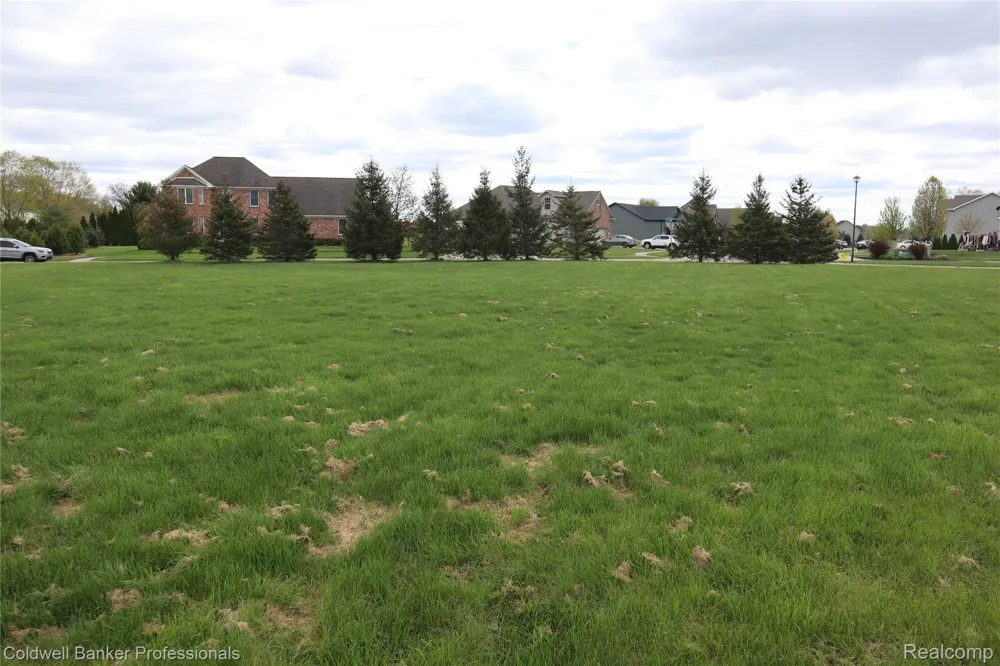 Championship Drive Davison Township, MI 48426
