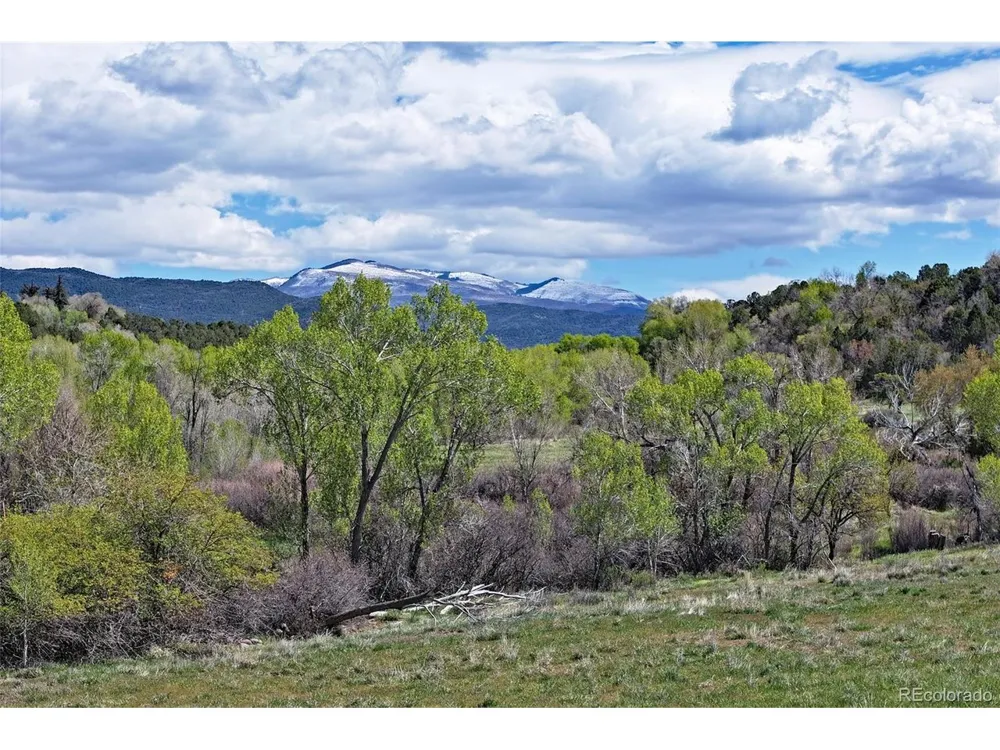 Address Not Shown Collbran, CO 81624