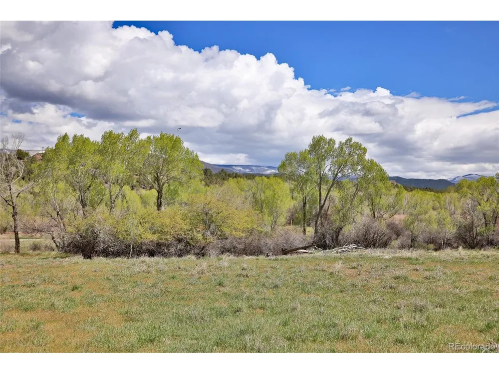 Address Not Shown Collbran, CO 81624