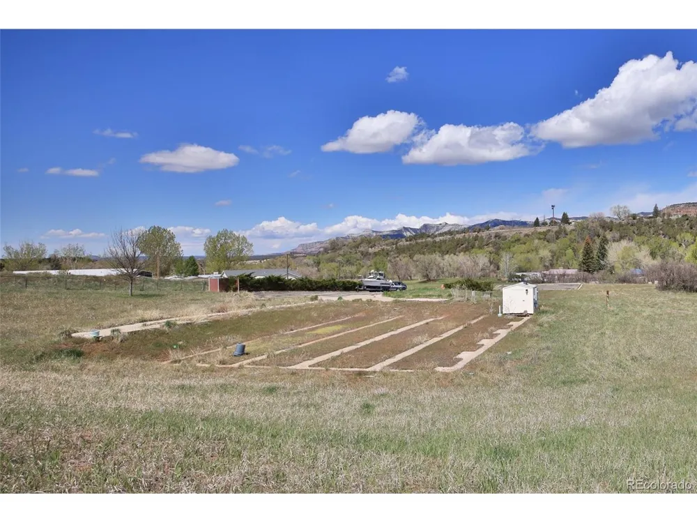 Address Not Shown Collbran, CO 81624
