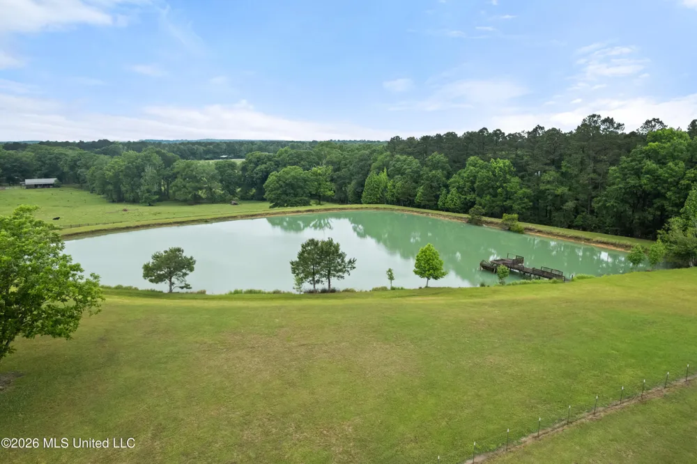 1329 Grantham Road Sumrall, MS 39482