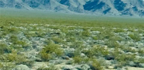 Sunflower Springs