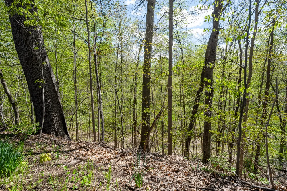 2848 Villa Lane Sodus Township, MI 49022