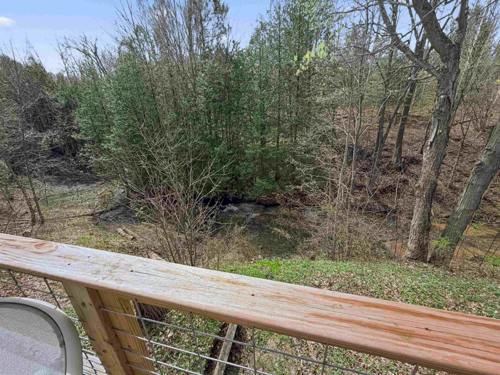 4411 11 ROAD Springville Township, MI 49688