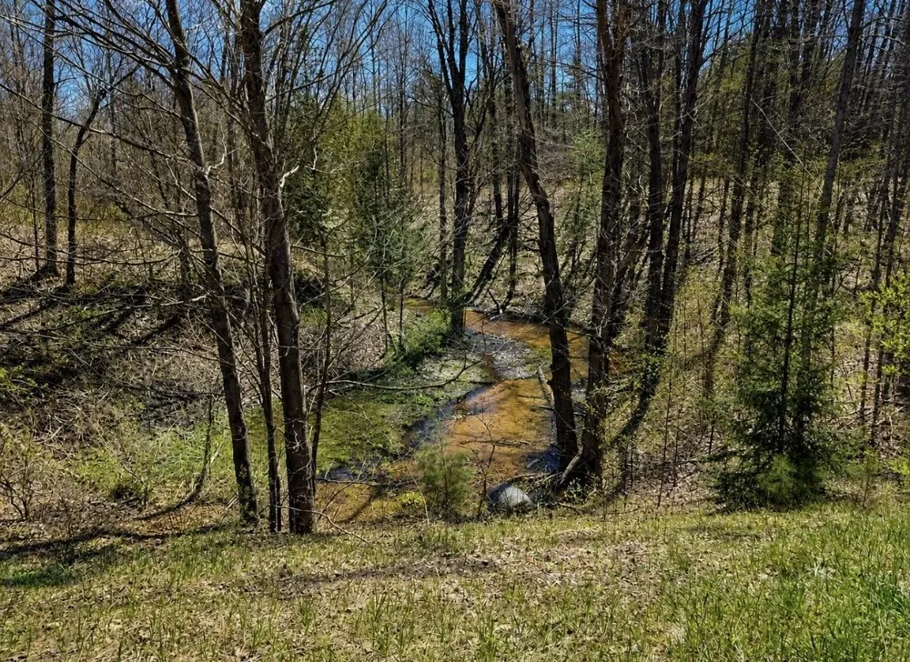4411 11 ROAD Springville Township, MI 49688