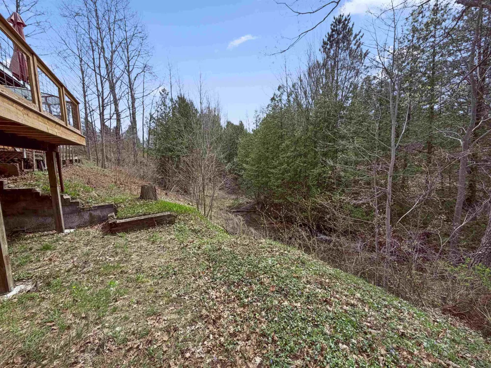 4411 11 ROAD Springville Township, MI 49688