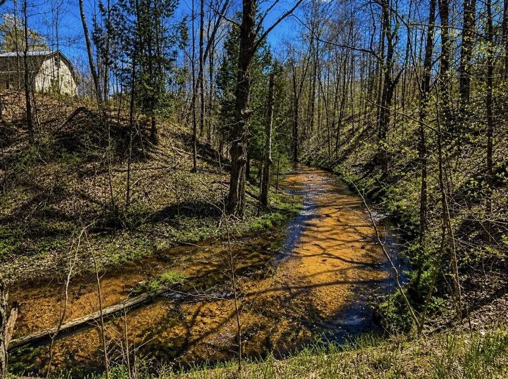 4411 11 ROAD Springville Township, MI 49688