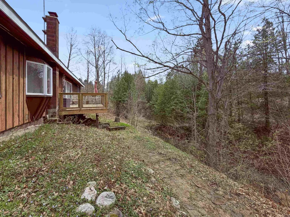4411 11 ROAD Springville Township, MI 49688