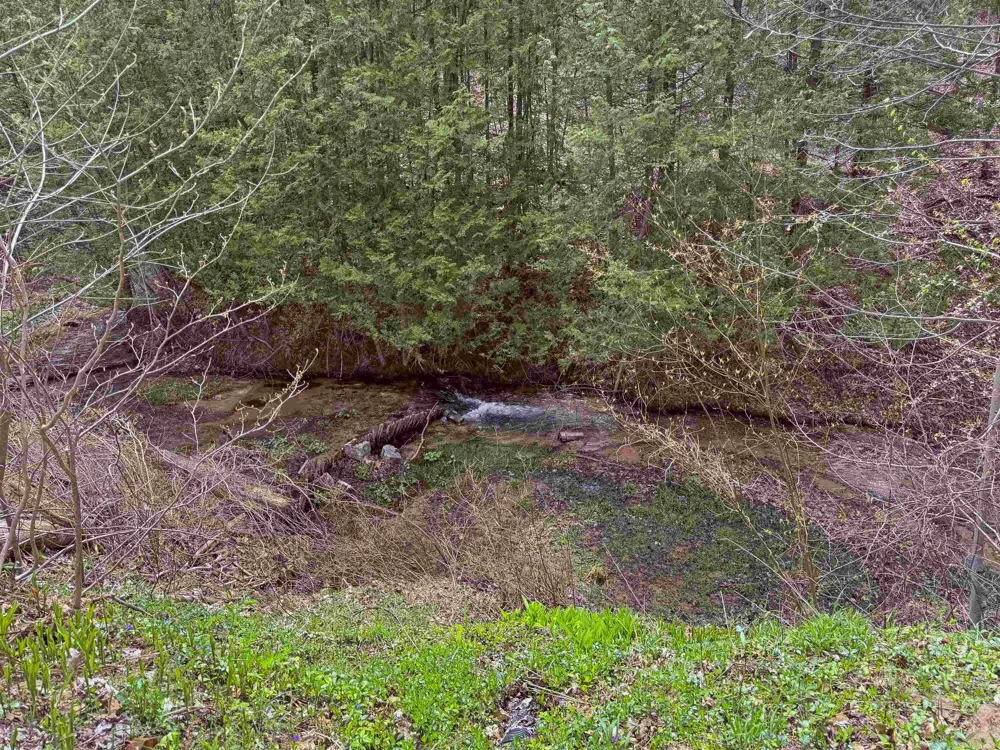 4411 11 ROAD Springville Township, MI 49688