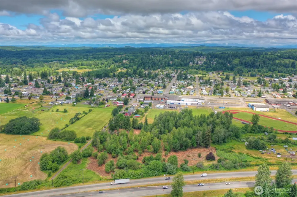 0 Old Wentzel Slough Road Elma, WA 98541
