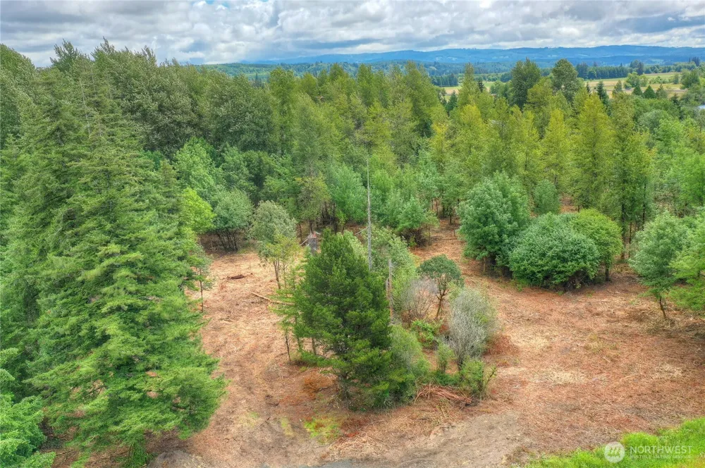 0 Old Wentzel Slough Road Elma, WA 98541
