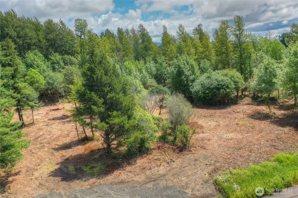0 Old Wentzel Slough Road Elma, WA 98541