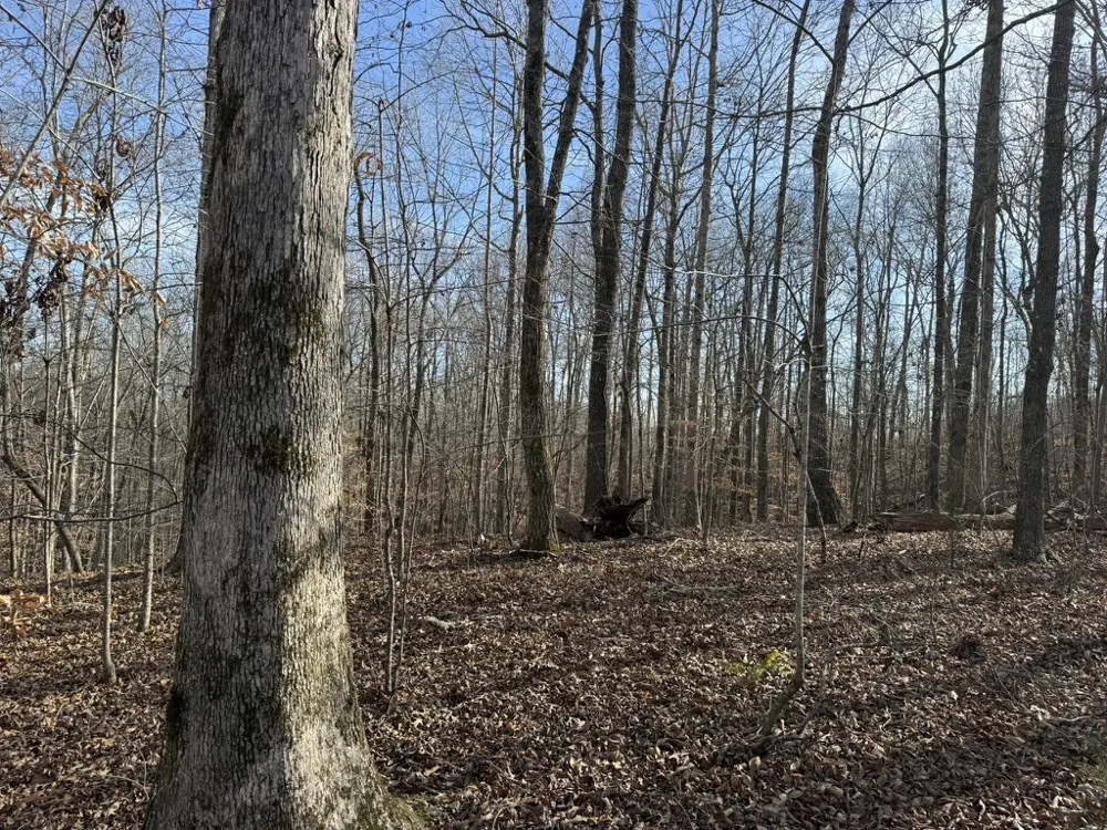 0 Riverwatch Trace Sparta, TN 38583