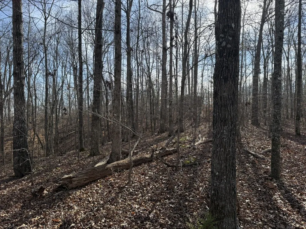 0 Riverwatch Trace Sparta, TN 38583