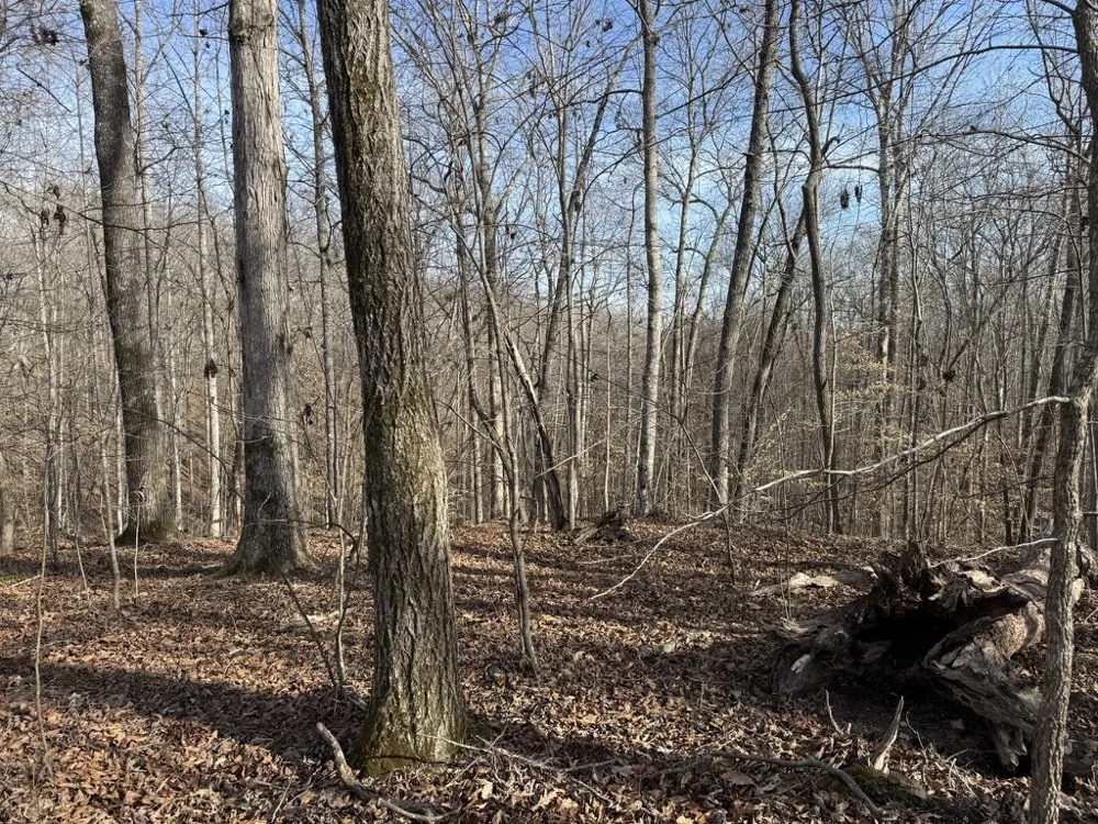 0 Riverwatch Trace Sparta, TN 38583