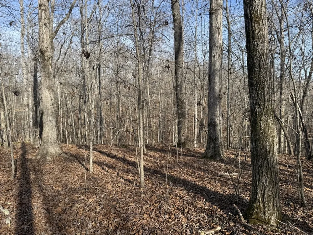 0 Riverwatch Trace Sparta, TN 38583