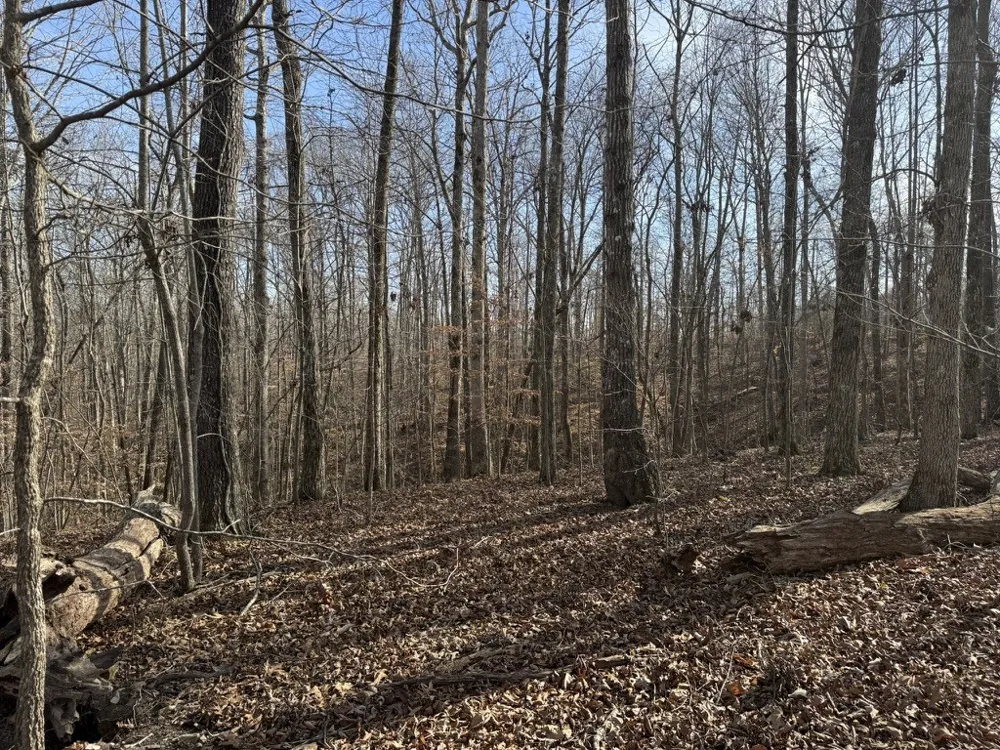 0 Riverwatch Trace Sparta, TN 38583