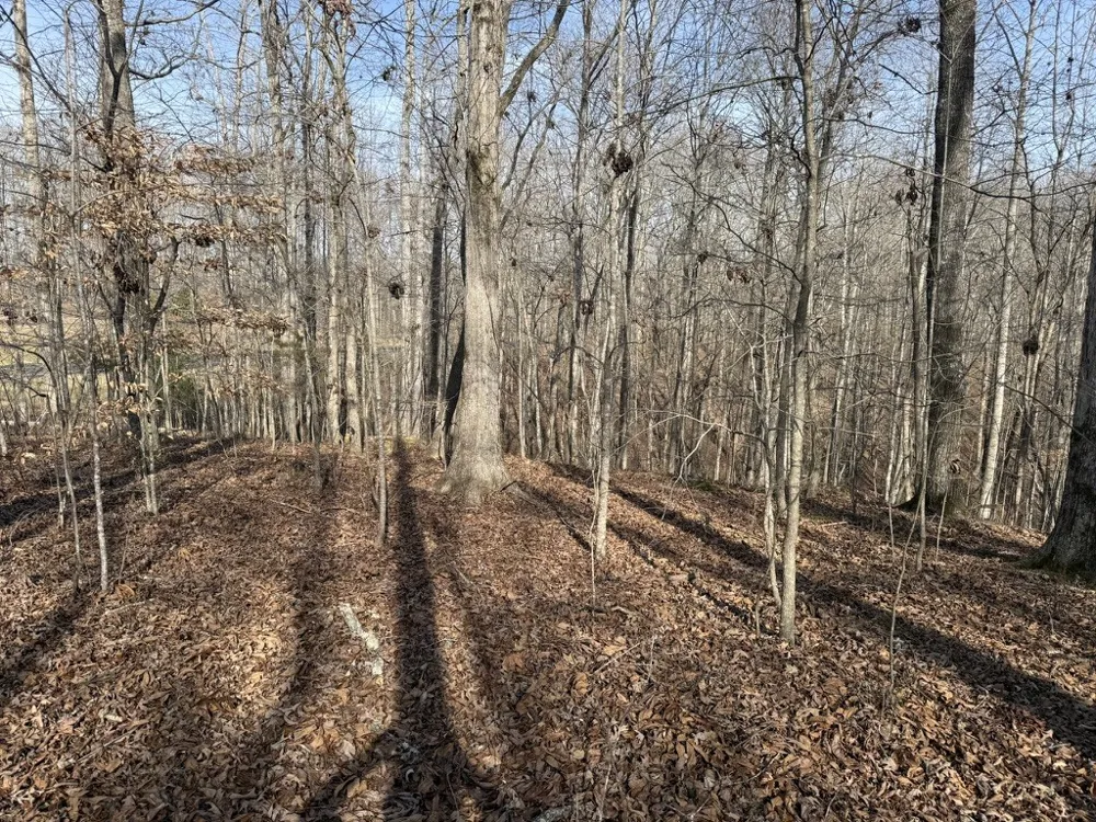 0 Riverwatch Trace Sparta, TN 38583