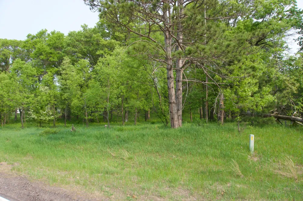 XXX Lot 3 283rd Avenue NW Zimmerman, MN 55398