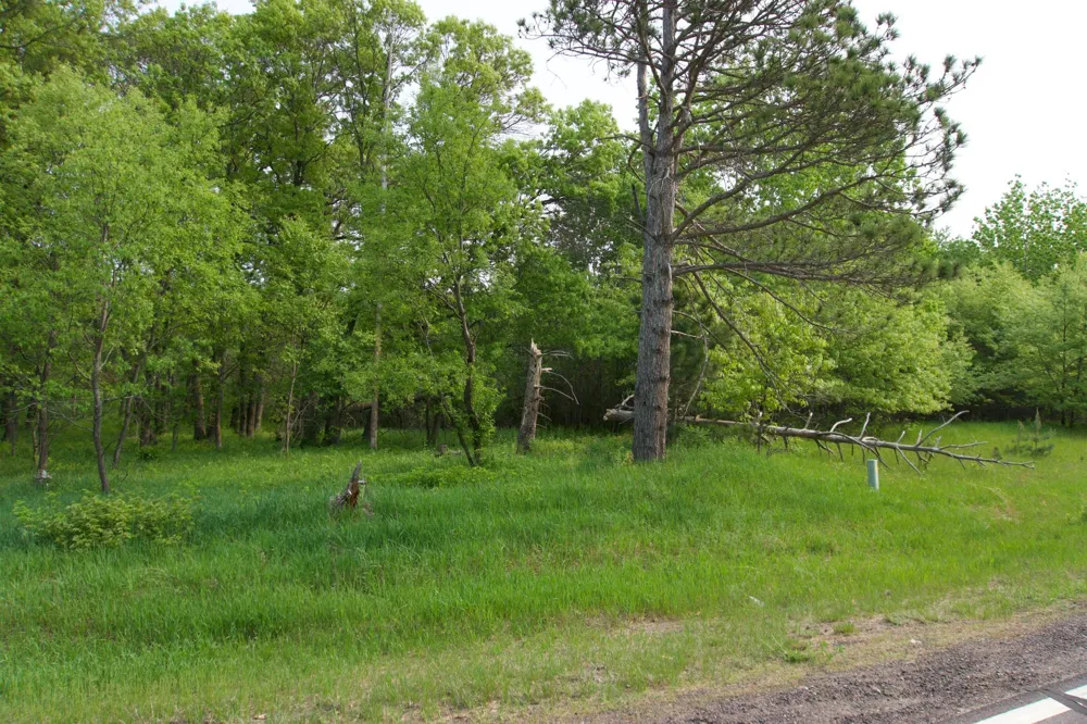 XXX Lot 3 283rd Avenue NW Zimmerman, MN 55398