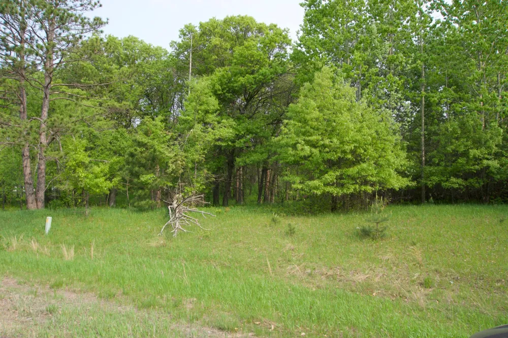 XXX Lot 3 283rd Avenue NW Zimmerman, MN 55398