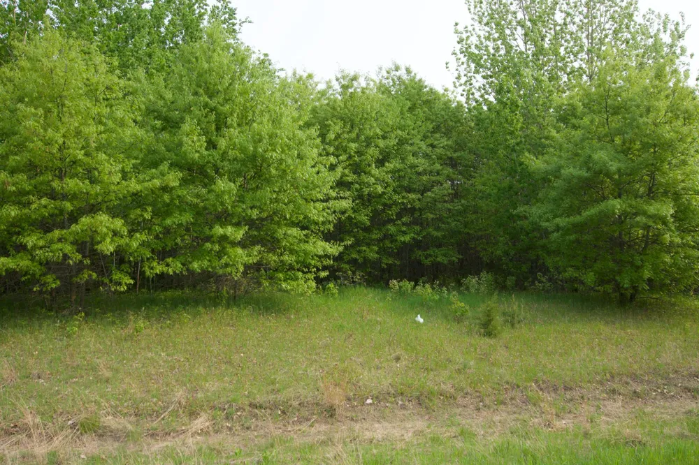 XXX Lot 3 283rd Avenue NW Zimmerman, MN 55398