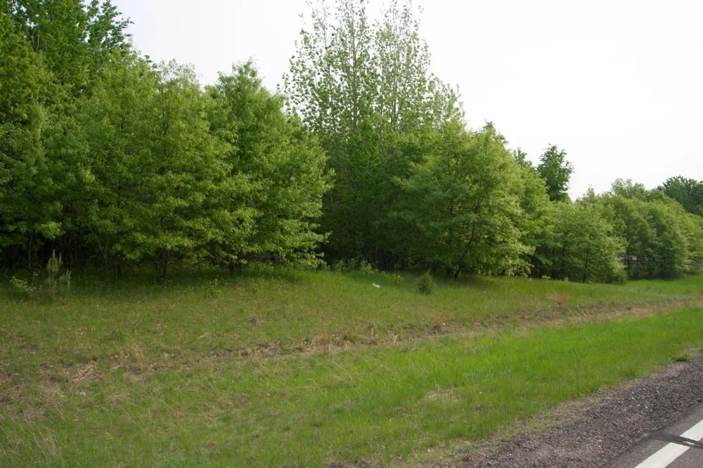 XXX Lot 3 283rd Avenue NW Zimmerman, MN 55398