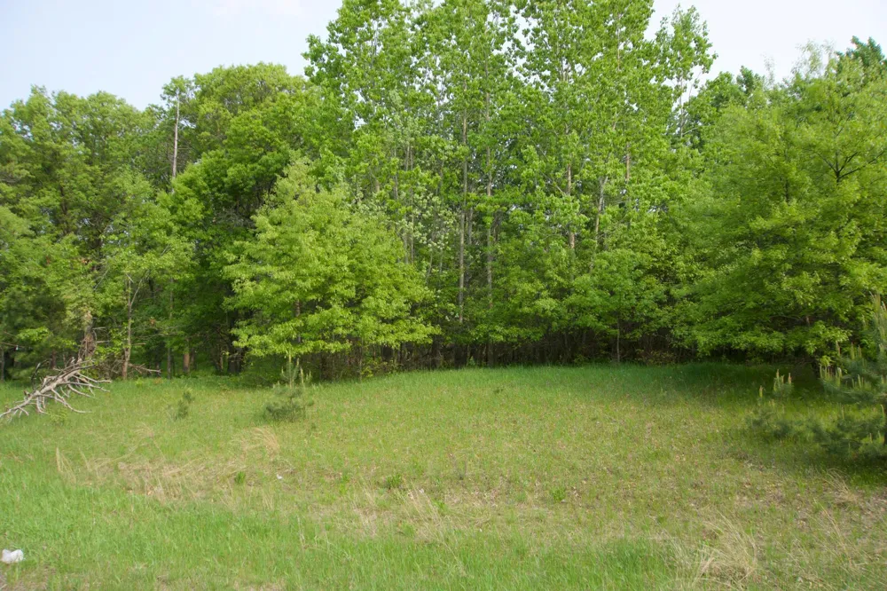 XXX Lot 3 283rd Avenue NW Zimmerman, MN 55398