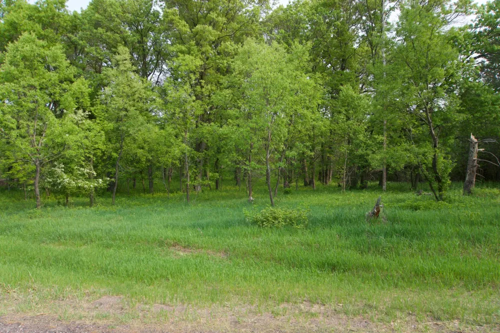 XXX Lot 3 283rd Avenue NW Zimmerman, MN 55398