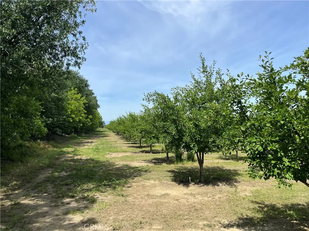25333 Connecticut Avenue Corning, CA 96021