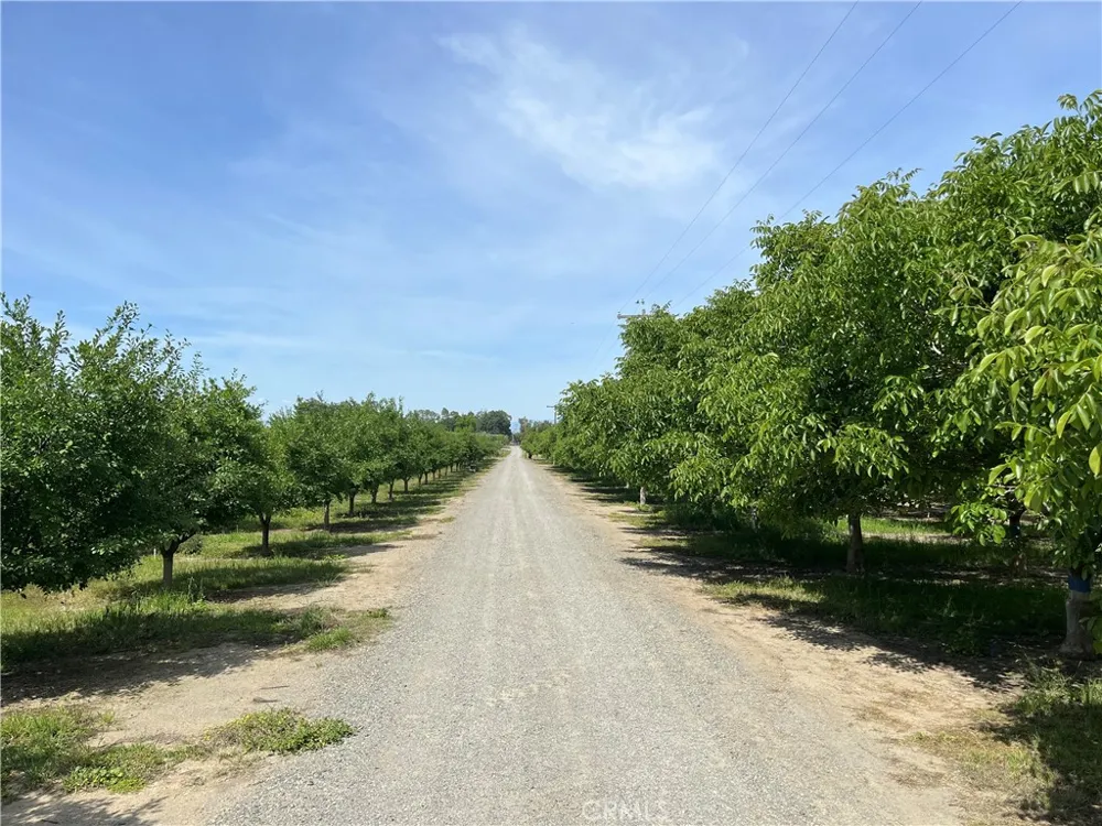25333 Connecticut Avenue Corning, CA 96021