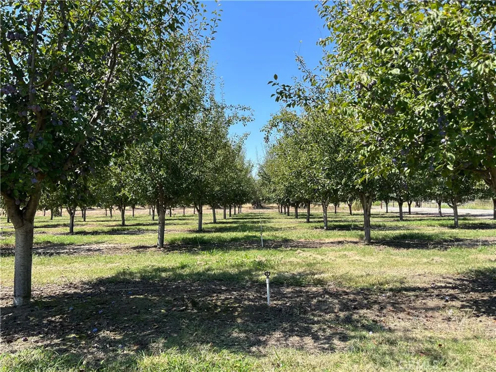 25333 Connecticut Avenue Corning, CA 96021