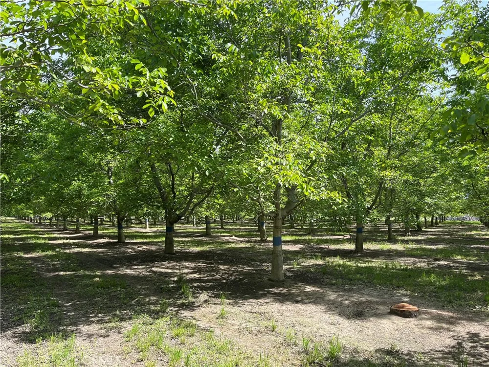 25333 Connecticut Avenue Corning, CA 96021