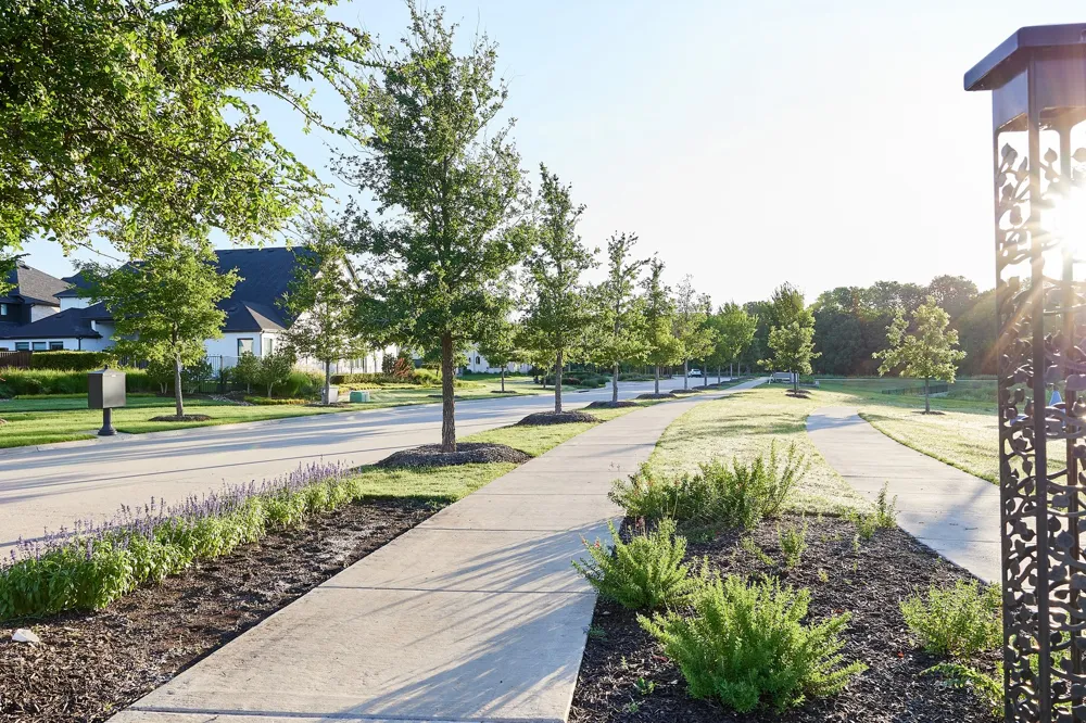 9511 Winter Bloom Street Frisco, TX 75035