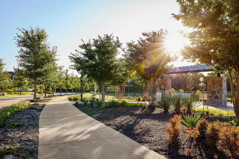 9511 Winter Bloom Street Frisco, TX 75035