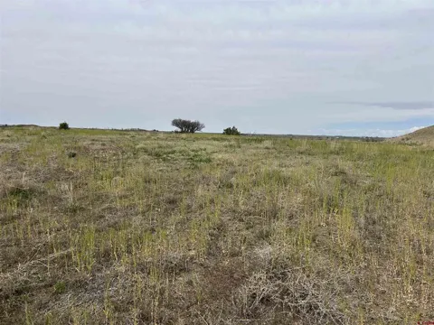 Hwy 184