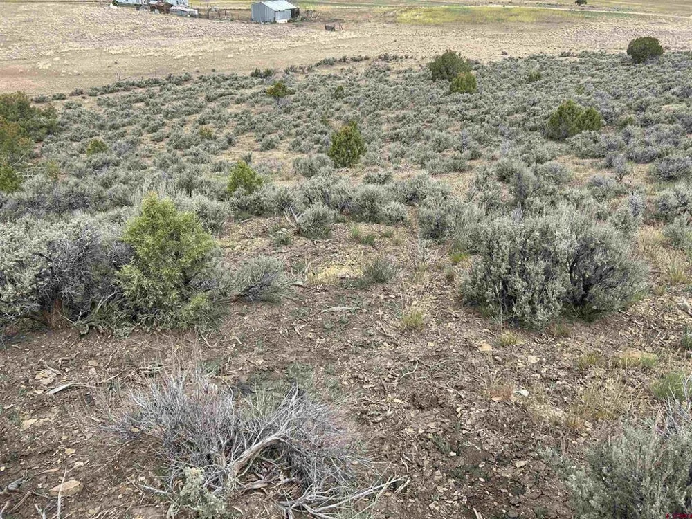 Hwy 184 Lewis, CO 81327