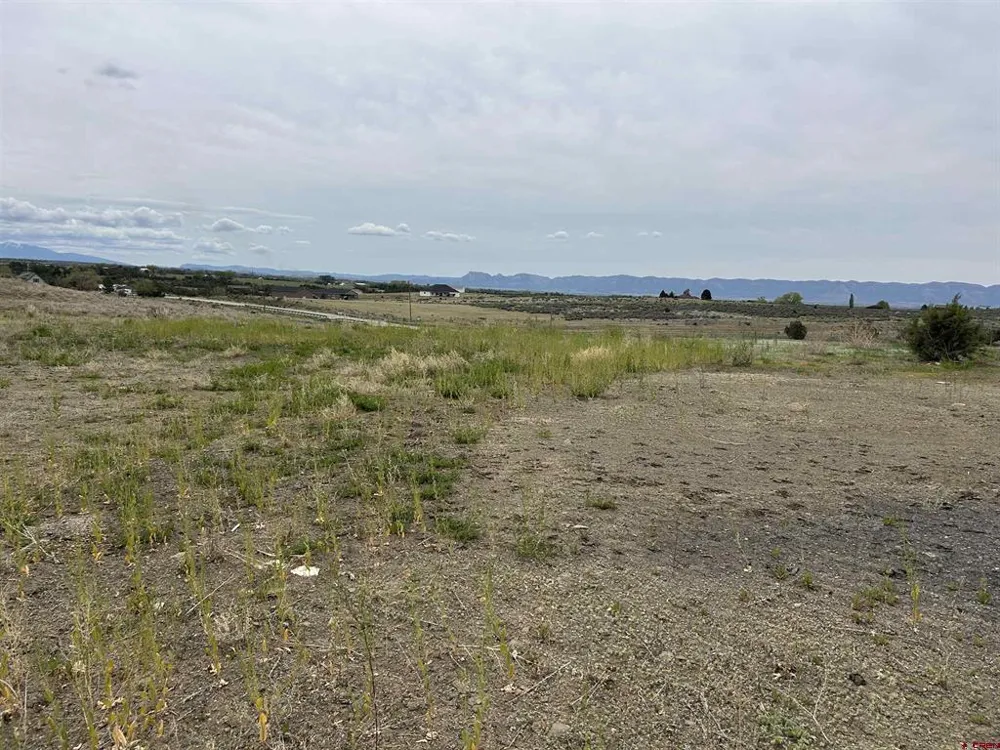 Hwy 184 Lewis, CO 81327