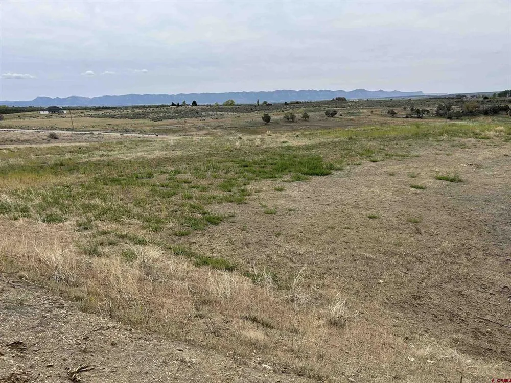 Hwy 184 Lewis, CO 81327
