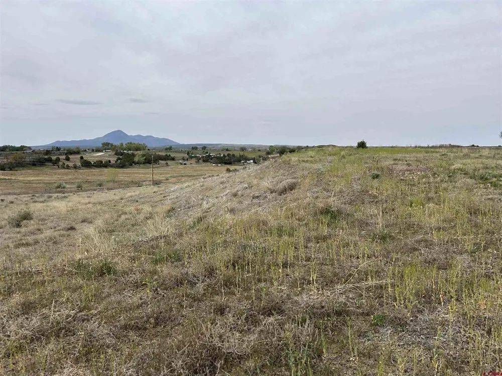 Hwy 184 Lewis, CO 81327