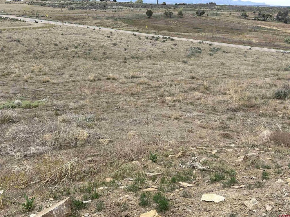 Hwy 184 Lewis, CO 81327