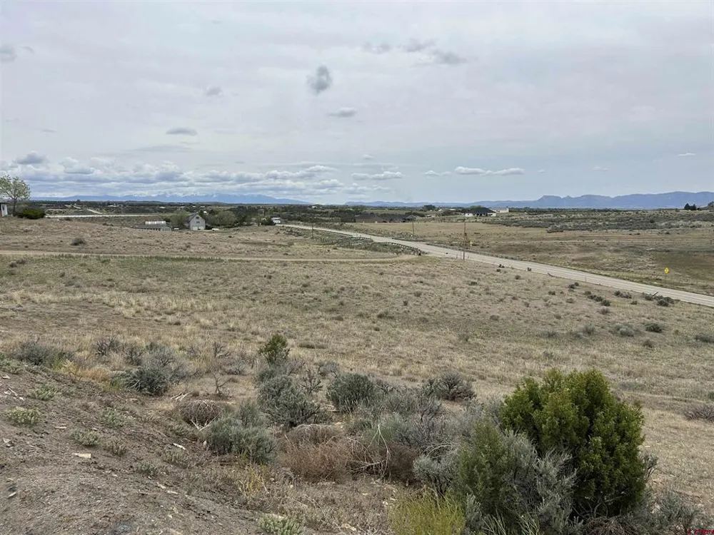 Hwy 184 Lewis, CO 81327