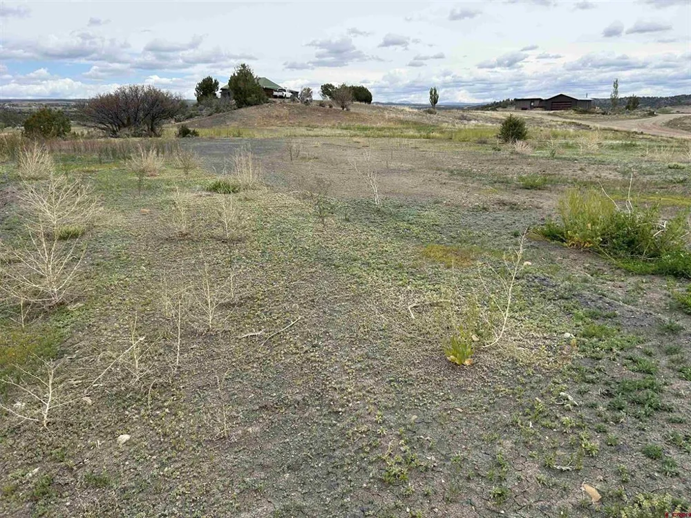 Hwy 184 Lewis, CO 81327