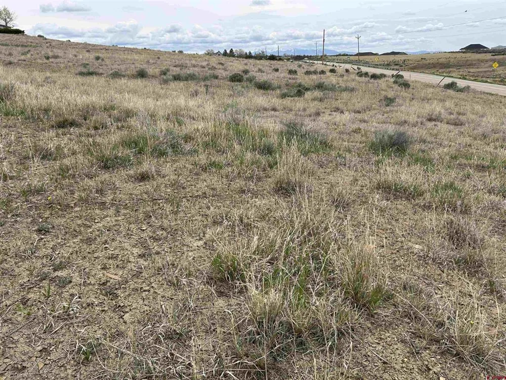 Hwy 184 Lewis, CO 81327